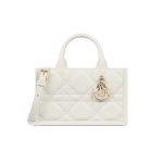 DIOR MINI BOOK TOTE